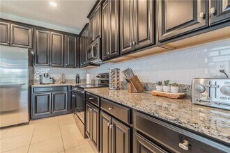 30927 Parrot Reef Ct in Wesley Chapel, FL - Building Photo - Building Photo