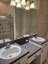 7427 Wimpole Dr in New Port Richey, FL - Building Photo - Building Photo