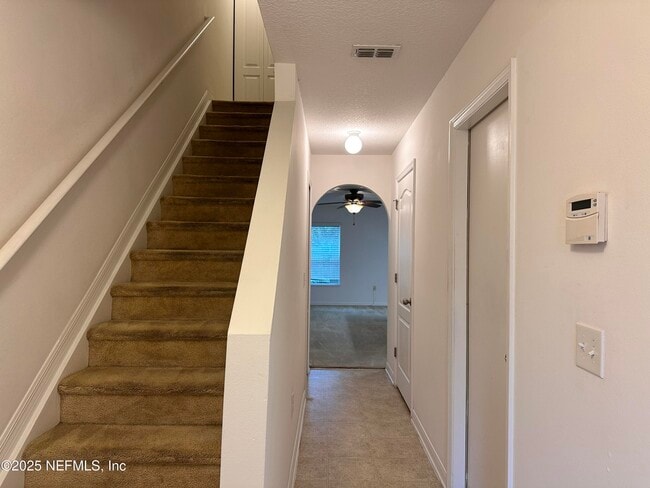 8271 Halls Hammock Ct in Jacksonville, FL - Building Photo - Building Photo