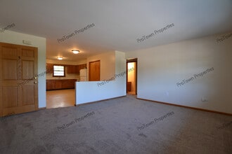 103 S Joliet St, Unit 3 in Wilmington, IL - Building Photo - Building Photo