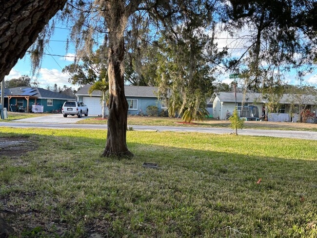4515 Needle Palm Dr in New Port Richey, FL - Building Photo - Building Photo