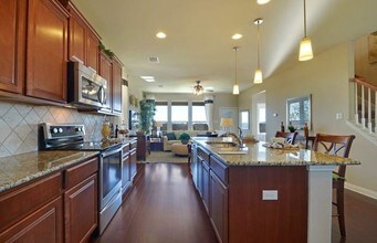 16017 Travesia Way in Austin, TX - Building Photo - Building Photo