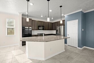 11606 Gray Alder Dr in Houston, TX - Building Photo - Building Photo