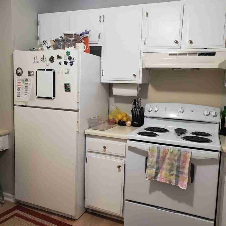 392 Albright Ln in Gallatin, TN - Building Photo