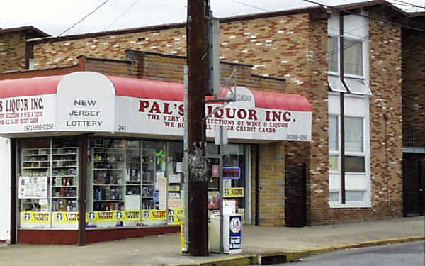 241-247 Union Ave in Paterson, NJ - Building Photo