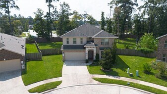 14002 Wolftrap Ln in Conroe, TX - Building Photo