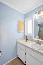 2967 Macalpin Dr N in Palm Harbor, FL - Building Photo - Building Photo