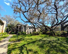 14211 Shadow Moss Ln in Tampa, FL - Building Photo