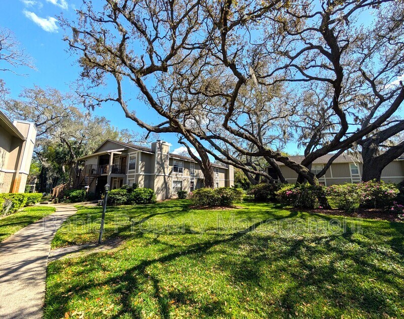 14211 Shadow Moss Ln in Tampa, FL - Building Photo