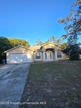1330 Clovis Ln in Spring Hill, FL - Building Photo - Building Photo