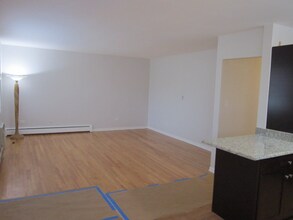 523 W Miner St in Arlington Heights, IL - Building Photo - Building Photo