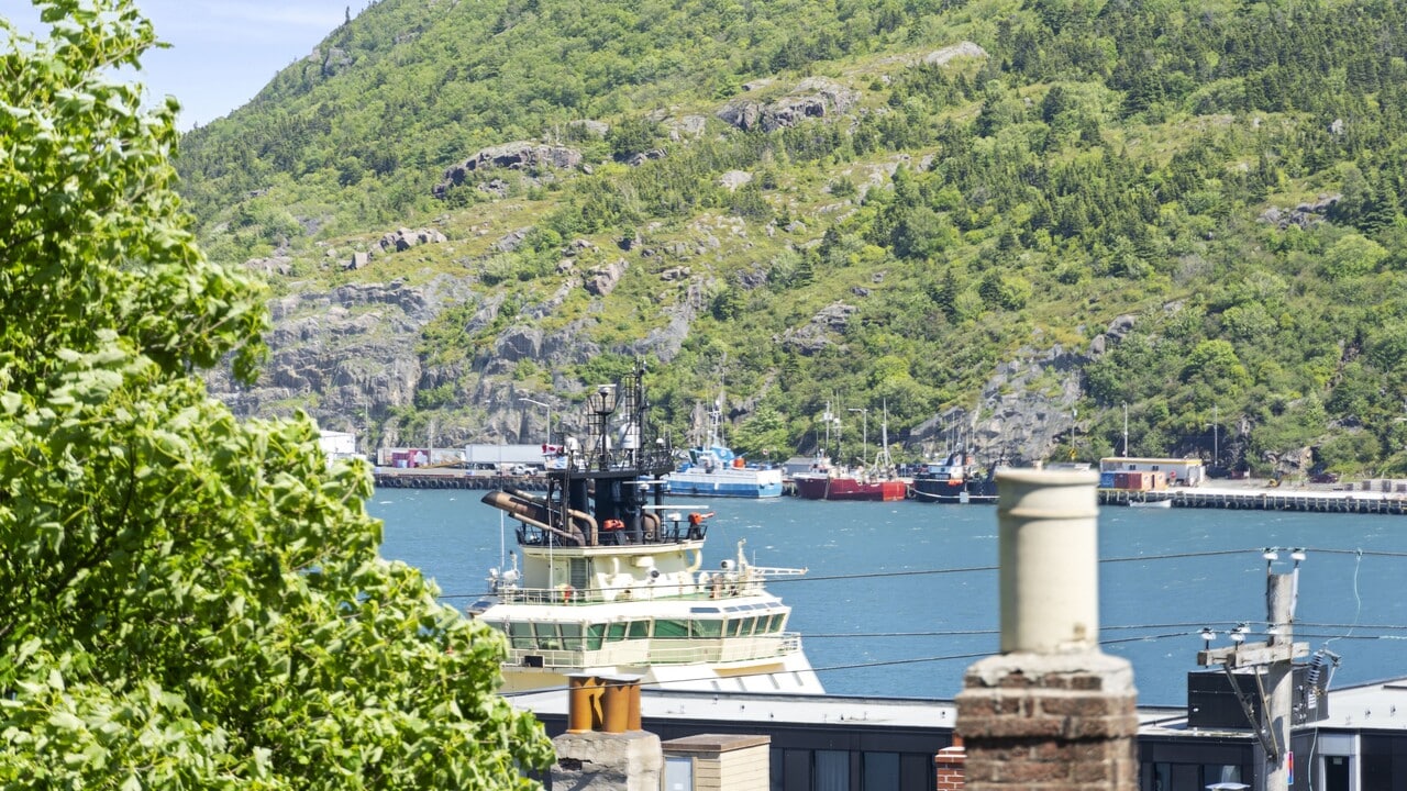 38 Victoria St in St John's, NL - Building Photo