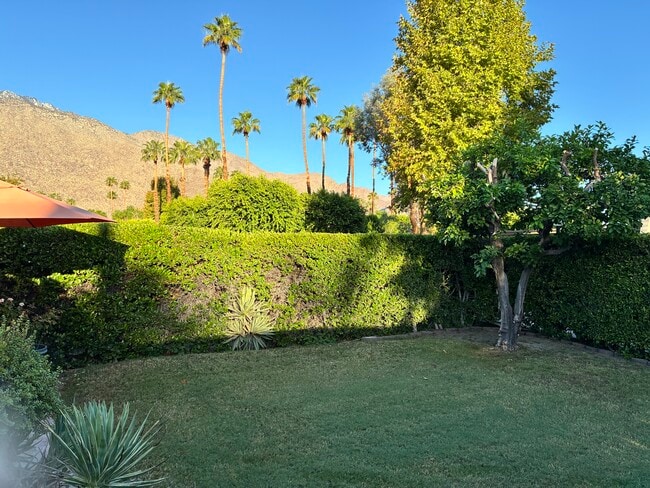 1254 Tiffany Cir S in Palm Springs, CA - Foto de edificio - Building Photo