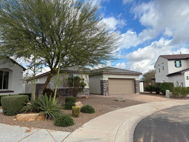 24827 N 106th Dr in Peoria, AZ - Building Photo - Building Photo