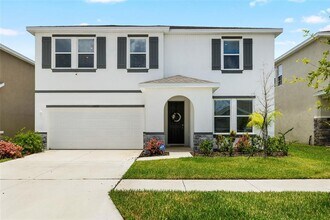 33675 Elm Hl Br in Wesley Chapel, FL - Building Photo - Building Photo