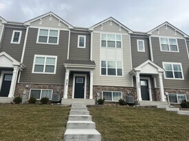 217 Goldenrod Dr in Elgin, IL - Building Photo