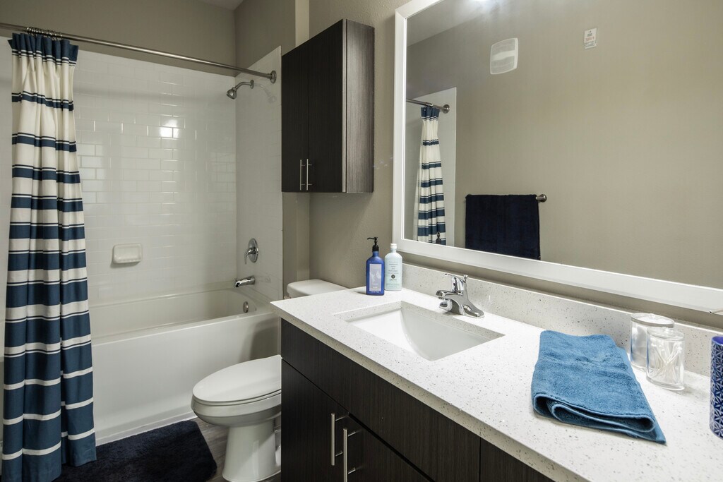 IQ Luxury Apartments in Tampa, FL