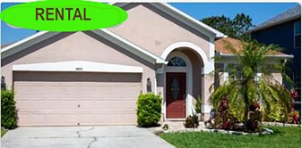 14511 Weeping Elm Dr in Tampa, FL - Building Photo