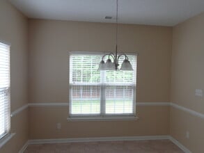 14036 McGloughlin Way Ct in Charlotte, NC - Building Photo - Building Photo