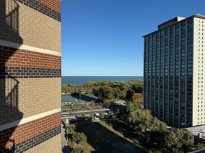 3660 N Lake Shore Dr, Unit 1405 in Chicago, IL - Building Photo - Building Photo