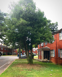 Thompson Heights in Memphis, TN - Foto de edificio - Building Photo