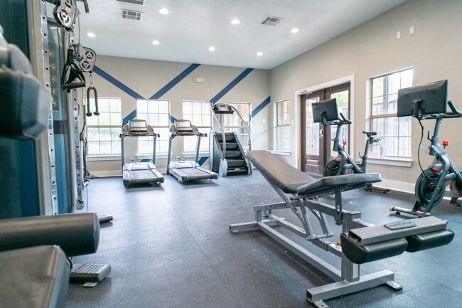 The Palmera on 3009 in Schertz, TX - Building Photo - Building Photo