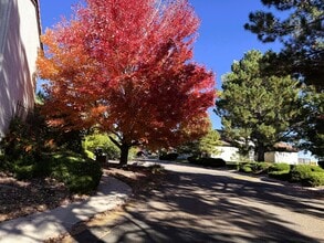 7522 Madrid ct in Colorado Springs, CO - Building Photo - Building Photo