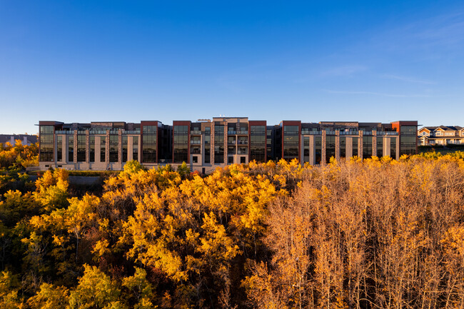 The Views in Calgary, AB - Building Photo - Building Photo