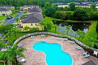 20238 Pond Apple Ln in Tampa, FL - Building Photo - Building Photo