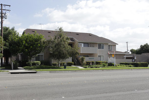 Western Terrace Apartments