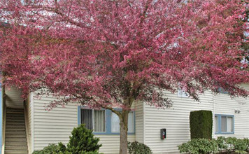 East Park Place Apartments in Portland, OR - Foto de edificio - Building Photo