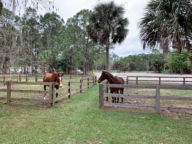 1711 Stallion Dr in Loxahatchee, FL - Building Photo - Building Photo