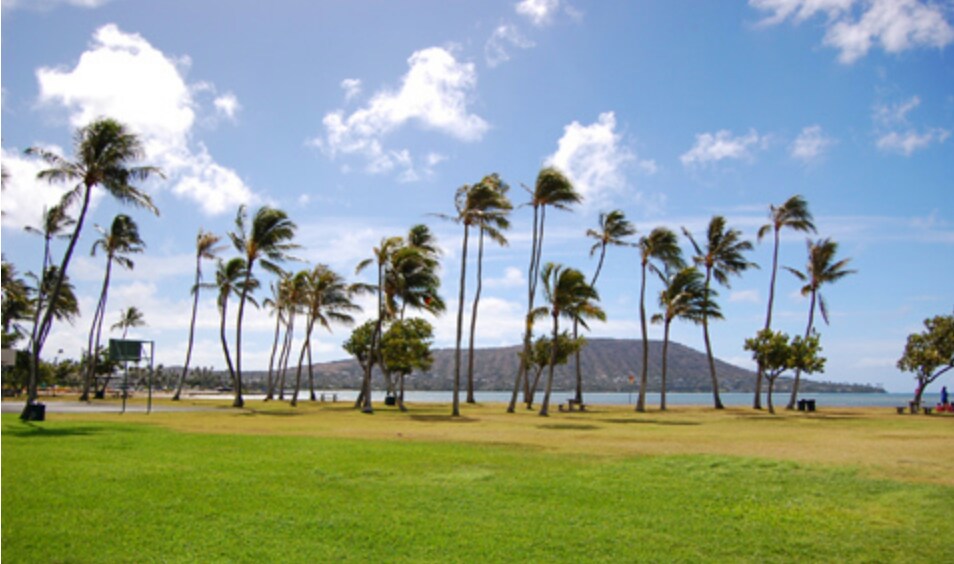 466 Kahinu St, Unit B in Honolulu, HI - Foto de edificio
