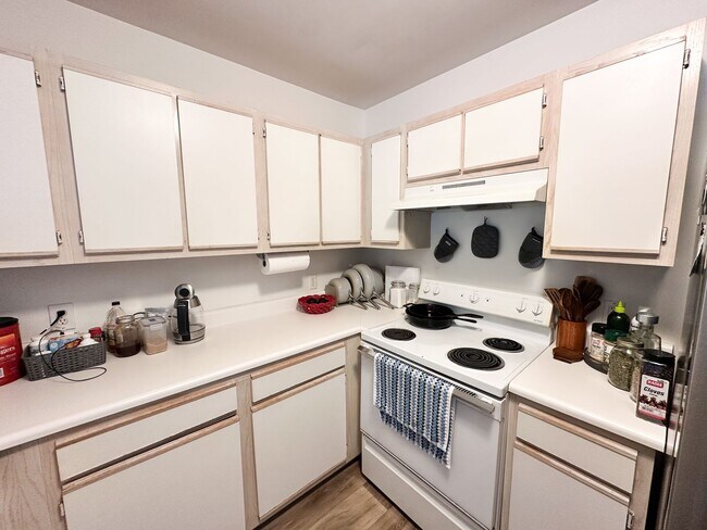 4804 College Rd in Wilmington, NC - Building Photo - Building Photo