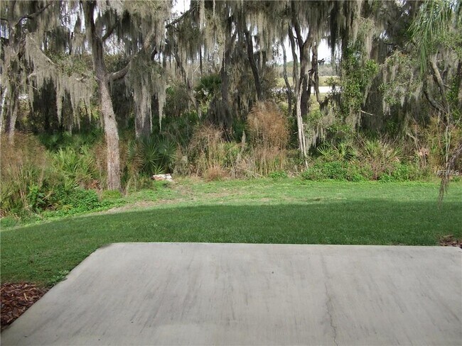15702 Fishhawk Falls Dr in Lithia, FL - Building Photo - Building Photo