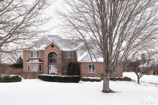15141 Arbor Dr in Orland Park, IL - Building Photo
