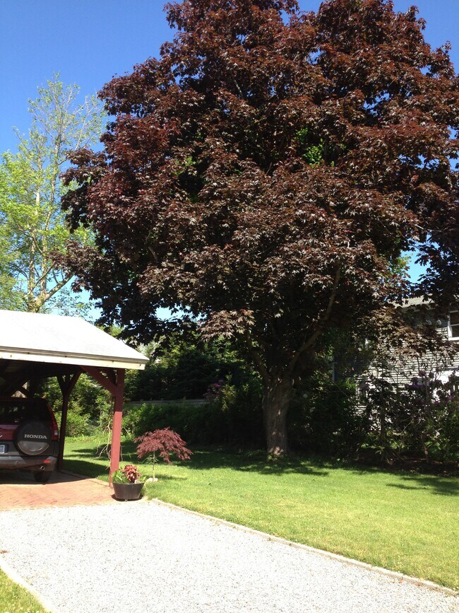 1 Gegan Dr in Southampton, NY - Building Photo - Building Photo