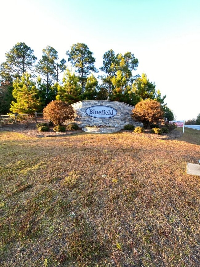 271 Aldergate Dr in Lexington, SC - Foto de edificio - Building Photo