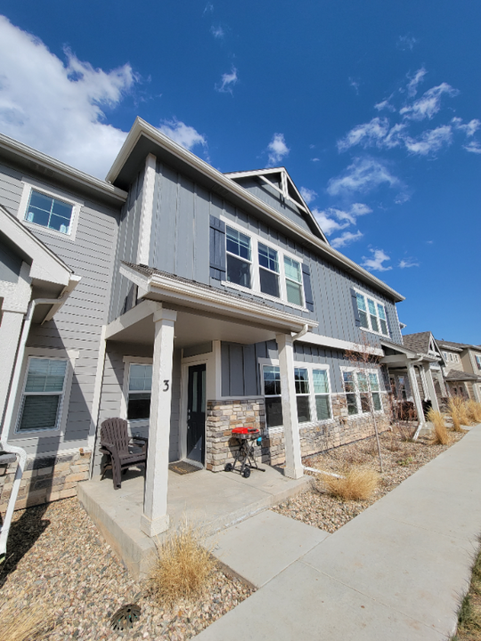 3039 Upland Dr in Fort Collins, CO - Building Photo