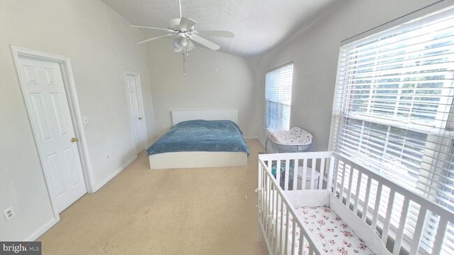 property at 206 Park Brook Ct