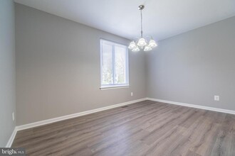 6028 Forrest Hollow Ln in West Springfield, VA - Building Photo - Building Photo