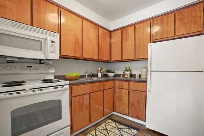 Stony Brook Commons in Roslindale, MA - Building Photo - Building Photo