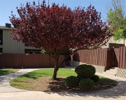 Wellington Commons in Odessa, TX - Building Photo - Interior Photo