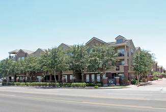 Citi on Camelback in Phoenix, AZ - Building Photo - Building Photo