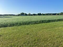 163 Henry Dunn Pickett Rd in Beulaville, NC - Building Photo - Building Photo