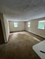 355 Meadowbrook Ave in Youngstown, OH - Building Photo