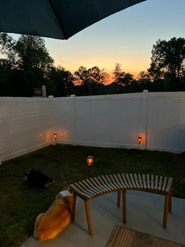 property at 114 Wethington Wy