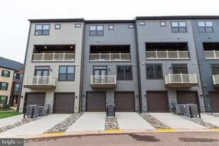 4357 Black Tulip Wy in Chantilly, VA - Building Photo