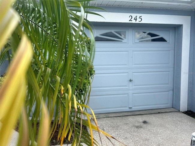 245 Hemingway Dr in Oldsmar, FL - Foto de edificio - Building Photo