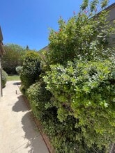 17403 Plaza Otonal in San Diego, CA - Building Photo - Building Photo